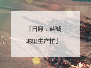 日照：盐碱地里生产忙