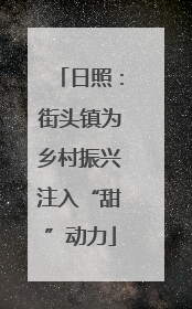 日照：街头镇为乡村振兴注入“甜”动力