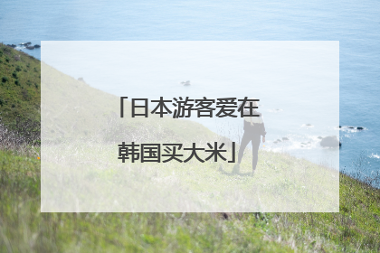 日本游客爱在韩国买大米