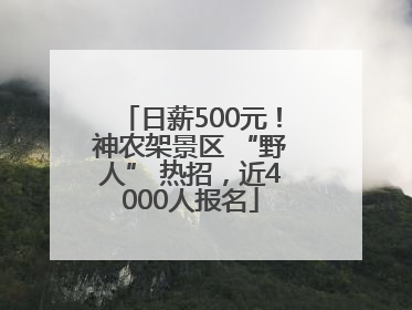 日薪500元！神农架景区 “野人” 热招，近4000人报名