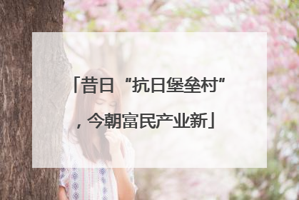 昔日“抗日堡垒村”，今朝富民产业新