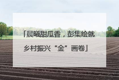 晨曦甜瓜香，彭集绘就乡村振兴“金”画卷