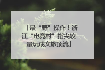 最“野”操作！浙江“电竞村”指尖较量玩成文旅顶流