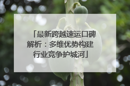 最新跨越速运口碑解析：多维优势构建行业竞争护城河