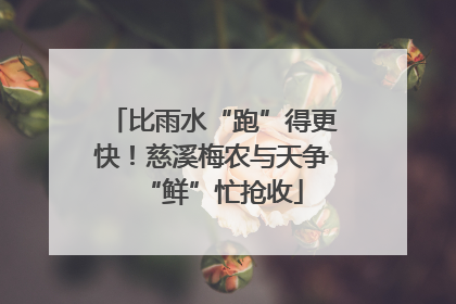 比雨水“跑”得更快！慈溪梅农与天争“鲜”忙抢收