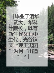毕业于清华、武大、华科等院校，既有新生代又有中生代，光谷这支“理工男团”为何“出道”？