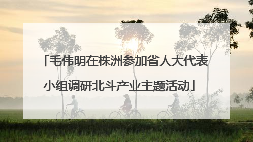 毛伟明在株洲参加省人大代表小组调研北斗产业主题活动