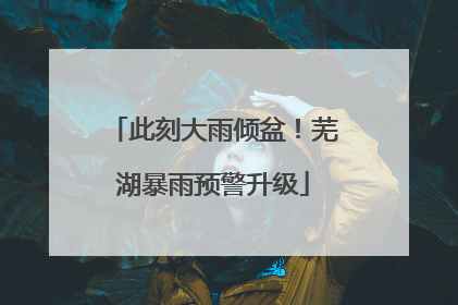 此刻大雨倾盆！芜湖暴雨预警升级