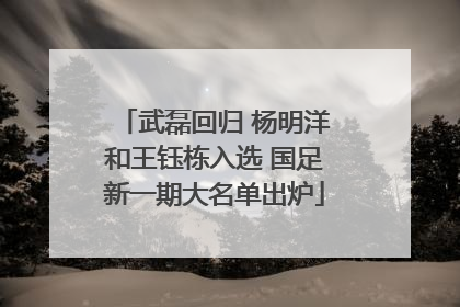 武磊回归 杨明洋和王钰栋入选 国足新一期大名单出炉