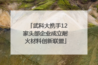 武科大携手12家头部企业成立耐火材料创新联盟
