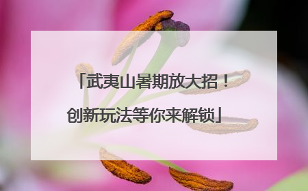 武夷山暑期放大招！创新玩法等你来解锁