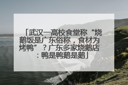武汉一高校食堂称“烧鹅饭是广东俗称，食材为烤鸭”？广东多家烧鹅店：鸭是鸭鹅是鹅