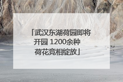 武汉东湖荷园即将开园 1200余种荷花竞相绽放