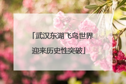 武汉东湖飞鸟世界迎来历史性突破