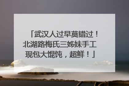 武汉人过早莫错过！北湖路梅氏三姊妹手工现包大馄饨，超鲜！