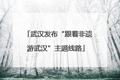 武汉发布“跟着非遗游武汉”主题线路