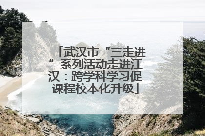 武汉市“三走进”系列活动走进江汉：跨学科学习促课程校本化升级
