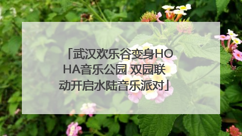武汉欢乐谷变身HOHA音乐公园 双园联动开启水陆音乐派对