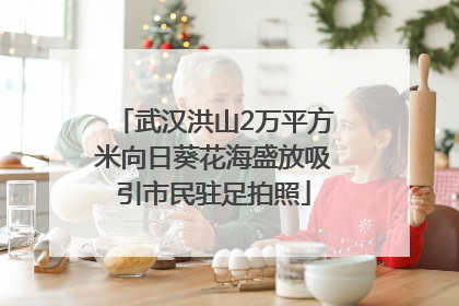 武汉洪山2万平方米向日葵花海盛放吸引市民驻足拍照