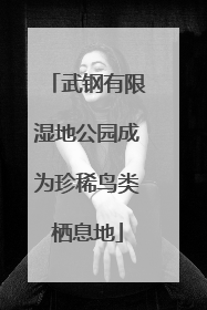 武钢有限湿地公园成为珍稀鸟类栖息地