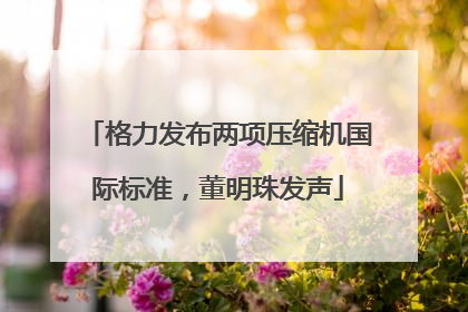 格力发布两项压缩机国际标准，董明珠发声