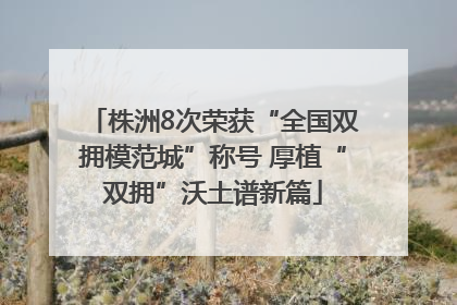 株洲8次荣获“全国双拥模范城”称号 厚植“双拥”沃土谱新篇