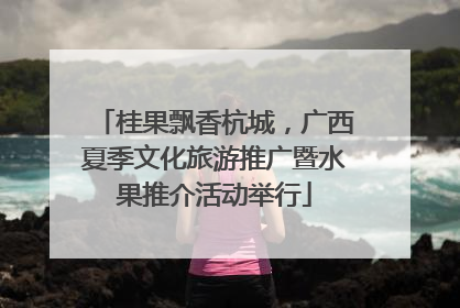 桂果飘香杭城，广西夏季文化旅游推广暨水果推介活动举行