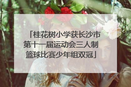 桂花树小学获长沙市第十一届运动会三人制篮球比赛少年组双冠