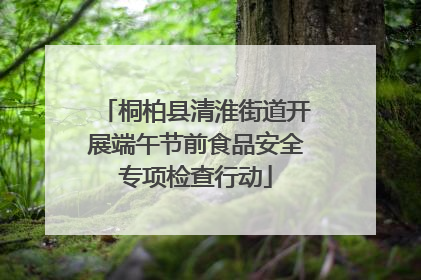 桐柏县清淮街道开展端午节前食品安全专项检查行动