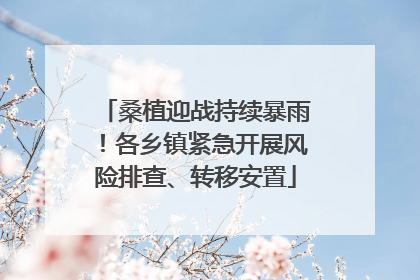 桑植迎战持续暴雨！各乡镇紧急开展风险排查、转移安置