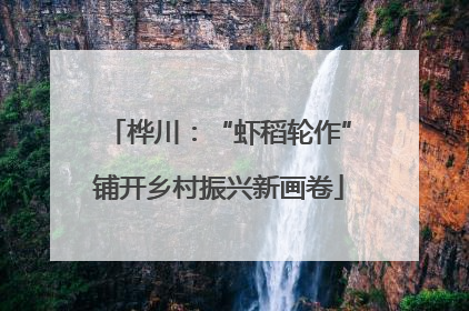 桦川：“虾稻轮作”铺开乡村振兴新画卷