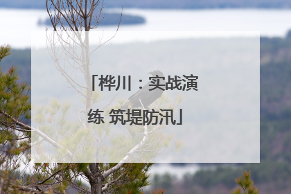 桦川：实战演练 筑堤防汛