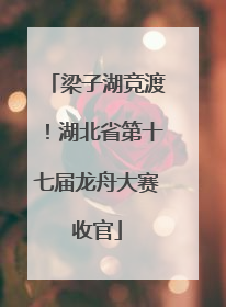 梁子湖竞渡！湖北省第十七届龙舟大赛收官