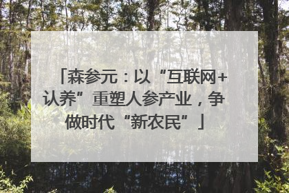 森参元：以“互联网+认养”重塑人参产业，争做时代“新农民”