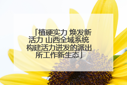 植硬实力 焕发新活力 山西全域系统构建活力迸发的派出所工作新生态