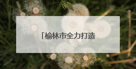 榆林市全力打造“15分钟托育服务圈”——“家门口有了托育点”