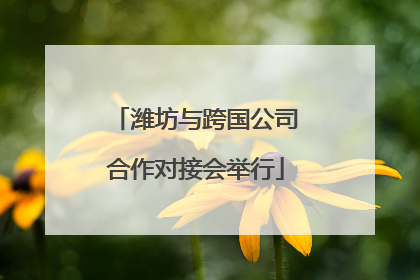 潍坊与跨国公司合作对接会举行