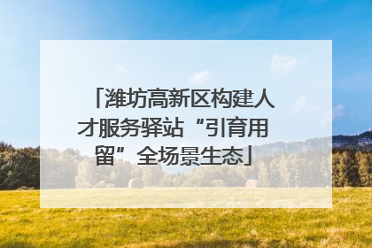 潍坊高新区构建人才服务驿站“引育用留”全场景生态
