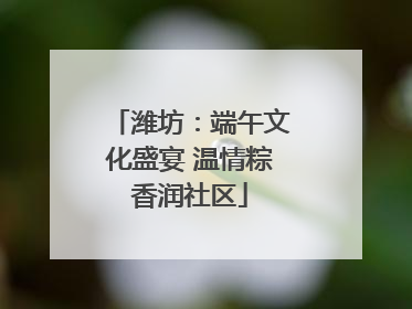潍坊：端午文化盛宴 温情粽香润社区