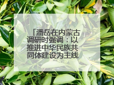 潘岳在内蒙古调研时强调：以推进中华民族共同体建设为主线推动边疆民族地区高质量发展