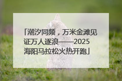 潮汐同频，万米金滩见证万人逐浪——2025海阳马拉松火热开跑