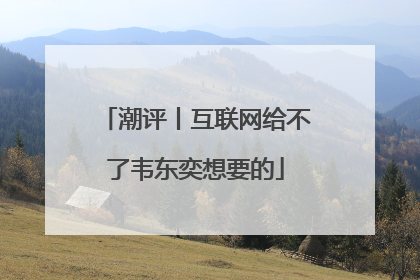 潮评丨互联网给不了韦东奕想要的