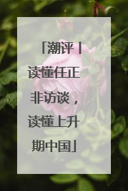 潮评丨读懂任正非访谈，读懂上升期中国