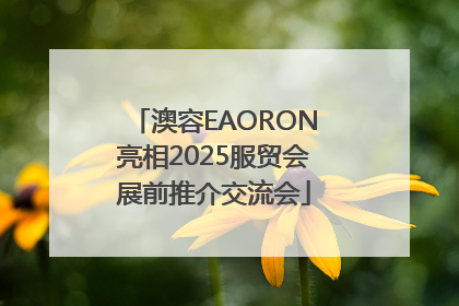 澳容EAORON亮相2025服贸会展前推介交流会