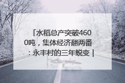 水稻总产突破4600吨，集体经济翻两番：永丰村的三年蜕变｜您牵挂的四川