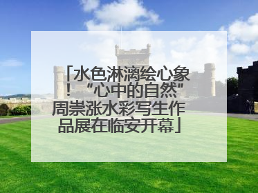 水色淋漓绘心象！“心中的自然”周崇涨水彩写生作品展在临安开幕