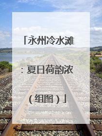 永州冷水滩：夏日荷韵浓（组图）