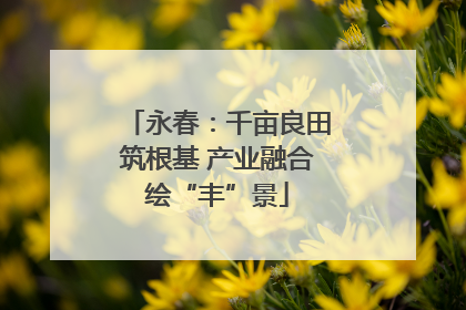 永春：千亩良田筑根基 产业融合绘“丰”景