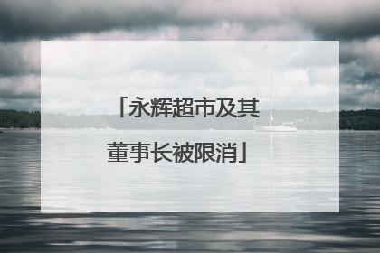 永辉超市及其董事长被限消
