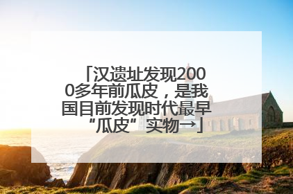 汉遗址发现2000多年前瓜皮，是我国目前发现时代最早“瓜皮”实物→